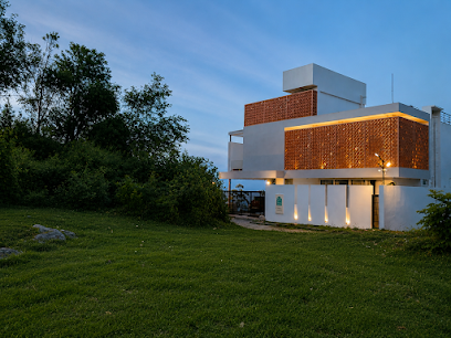 Golden Creeper | Luxe Villa