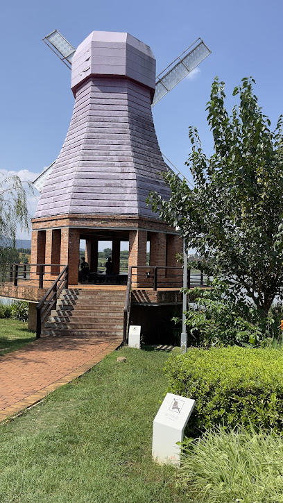 mile qingnianyishudongfengyun