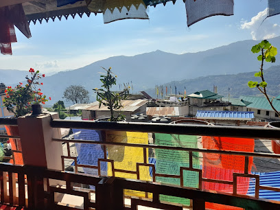 Unexplored Sikkim BERRIES