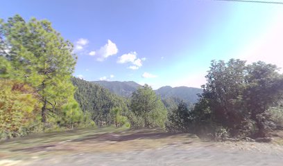 शांति कुंज होमस्टे टीलाखांड़ धानाचूली