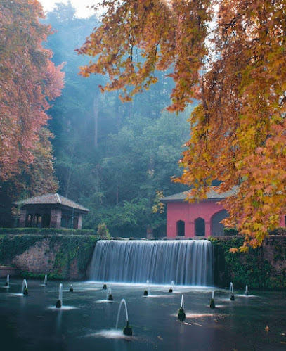The Great Kashmir houseboats