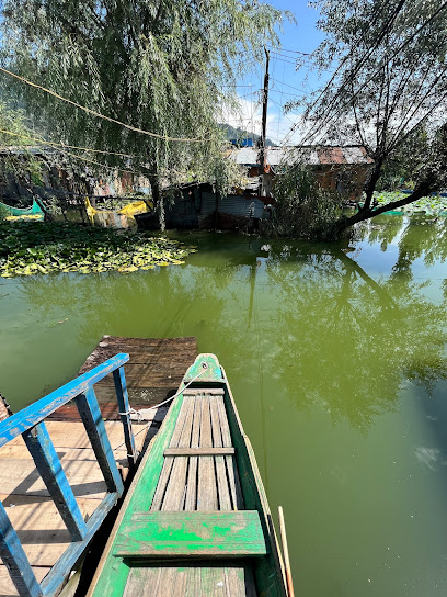 Kashmir palace group of houseboats