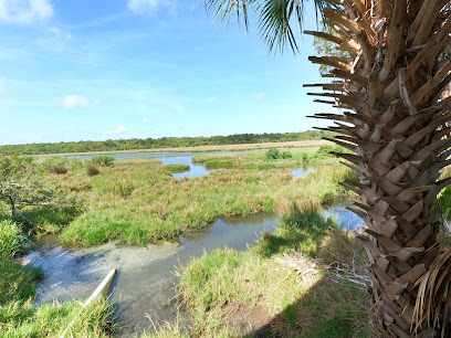 Little St. Simons Island