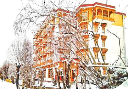 OYO 14402 Himalayan Villa