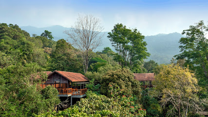 Vythiri Mist Resort, Wayanad
