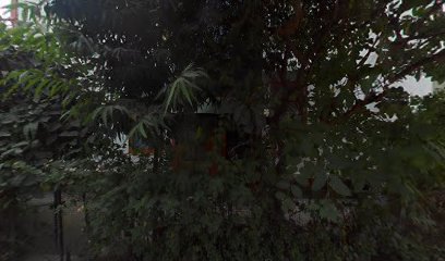 FabHotel The Silken Stay