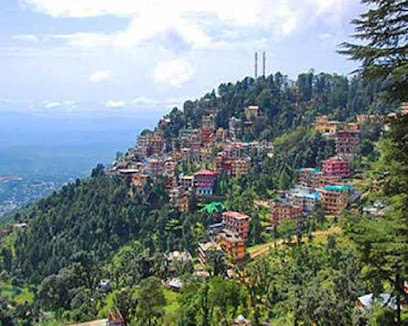 OYO 8390 Hotel Shivalik