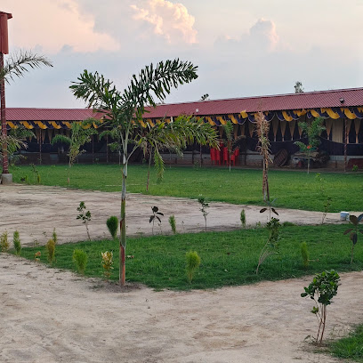 Celebration Lawn