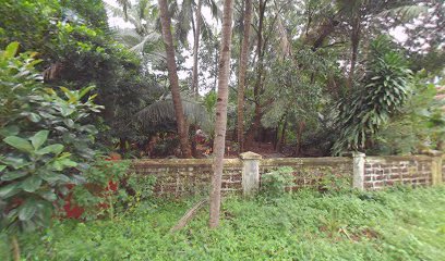 Villa Gecko Dorado