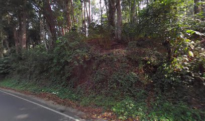 Capital O 82618 Haven