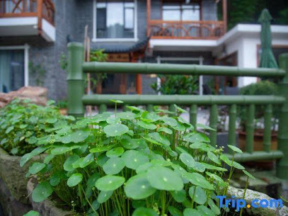 Zhulin Youju Hostel