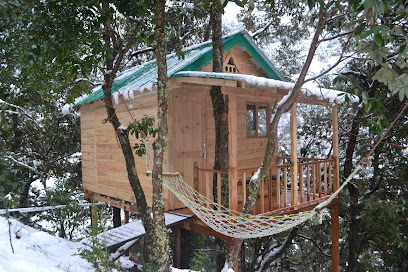 Vriksh Kutir (Treehouse)