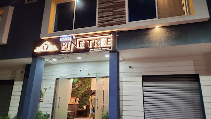 Super Townhouse Pine Tree
