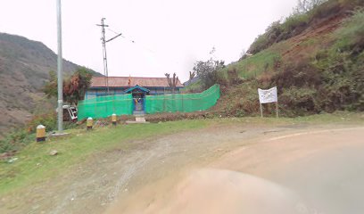 Hotel Munna Camp