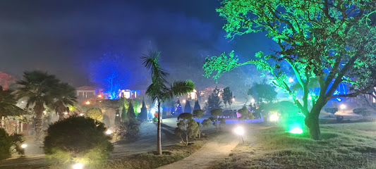The Dream Forest