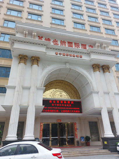 维也纳国际酒店