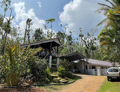 Jungle Greens Chikmagalur Homestay