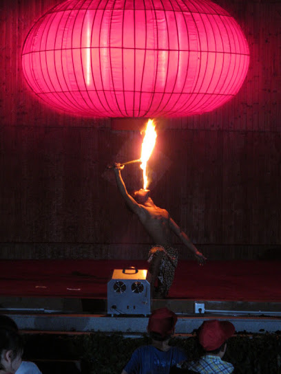 桐庐红灯笼小木屋