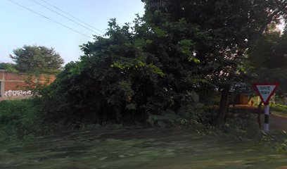 Maurya Marriage Hall (मौर्या मैरिज हॉल )