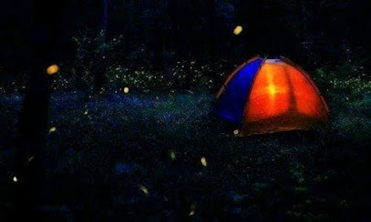 Friends Bhandardara Lake Camping