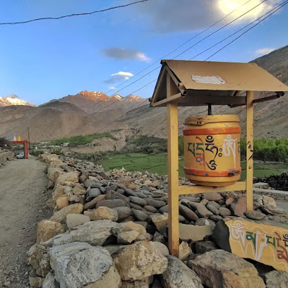 SNOWCLAD HOME STAY NEW KAZA