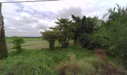 Maa Durga Misthan Bhandar .gwalpara .bas Stand