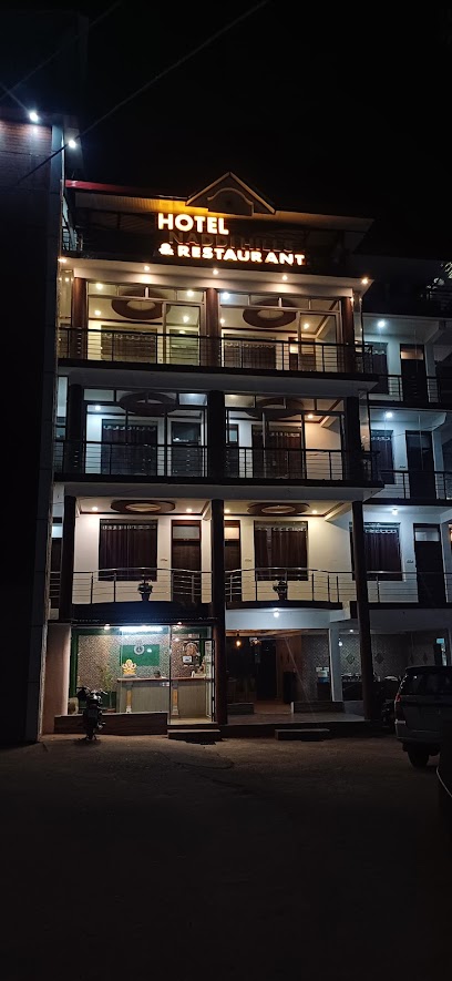 Hotel Naddi Hills