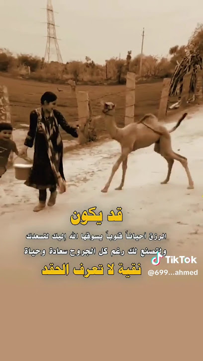 ３９７艺术精品酒店