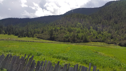 达瓦乔藏式宾馆