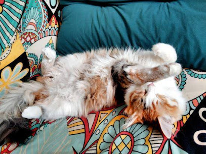 Unscrupulous Xueye Youth Travel Service