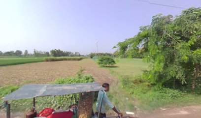 MY ShaneAli House S.S