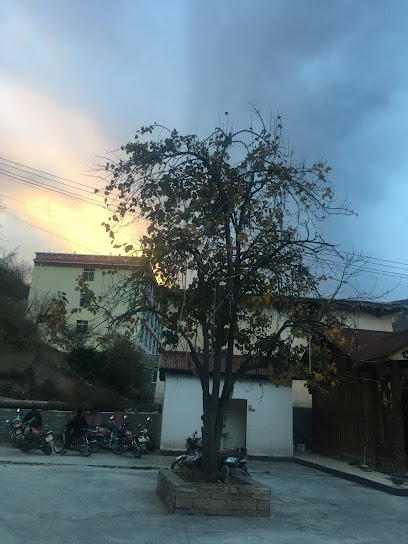 丽苑长寿酒店