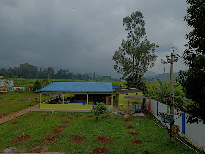 Aruku valley Dhimsa Resorts