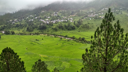 Valley View Home stay and Restaurant Lewasal