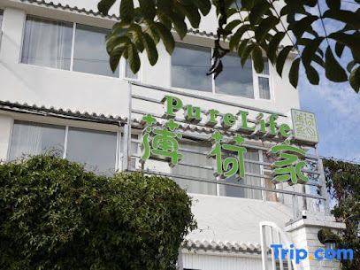 Pure Life Hostel