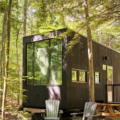 Postcard Cabins Piney Woods