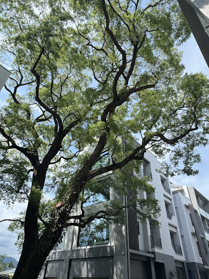 天送幸福金囍丰米
