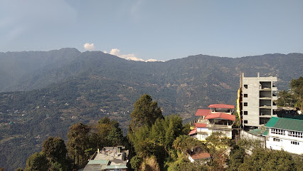 Home Stay Feels Like Home