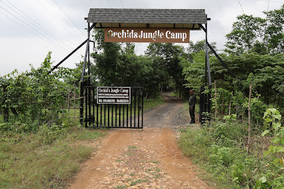 Orchids Jungle Camp