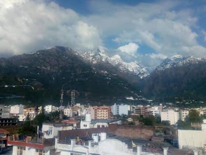 Hotel Kashmir Residency