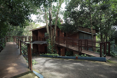 Vythiri Village Resort