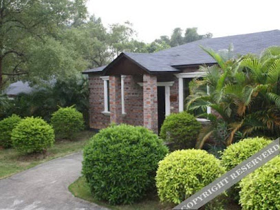 Freely Hover Golden Shuitai Hot Spring Town