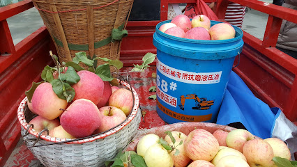 峥嵘酒店迎宾楼