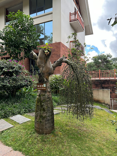普洱梅子湖开元温泉酒店