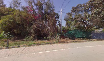 Bhedaghat Riverside Burrows