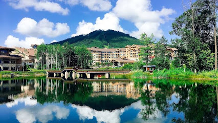 Wanda Jin Suites Changbaishan