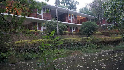 Falling Waters