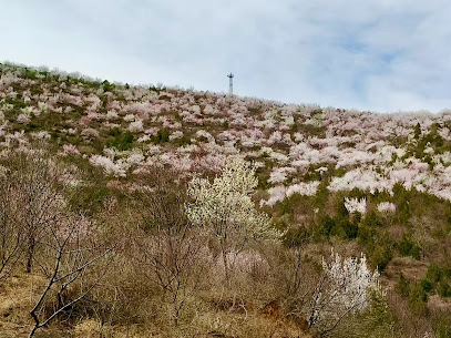 北京密云水库青山绿水农家院