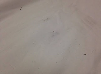 锦悦之星酒店浦东国际机场店