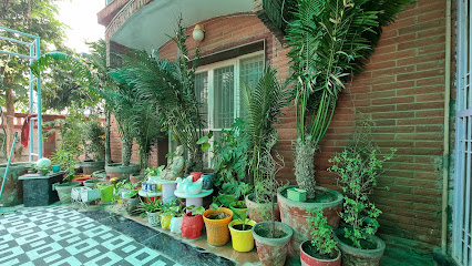 Col Sharma's Homestay